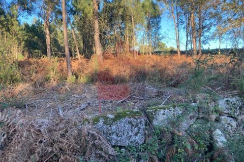 Helårsgrund i Vila Verde, Braga, Vila Verde - € 170.000 | Ref: 08530 - foto 12