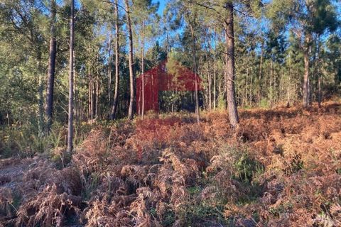 Helårsgrund i Vila Verde, Braga, Vila Verde - € 170.000 | Ref: 08530 - foto 13