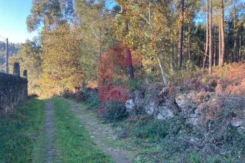 Helårsgrund i Vila Verde, Braga, Vila Verde - € 170.000 | Ref: 08530 - foto 19