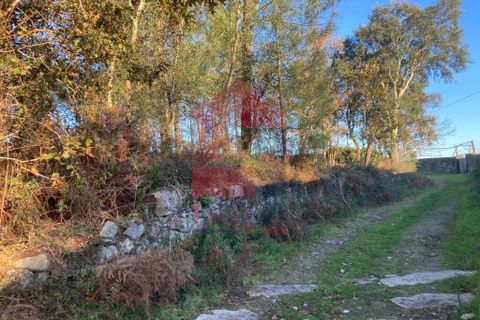 Helårsgrund i Vila Verde, Braga, Vila Verde - € 170.000 | Ref: 08530 - foto 20