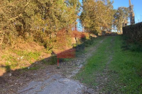 Helårsgrund i Vila Verde, Braga, Vila Verde - € 170.000 | Ref: 08530 - foto 22
