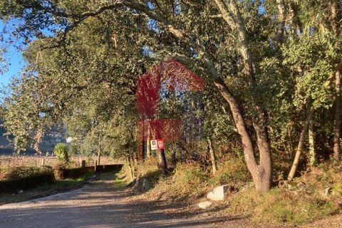 Helårsgrund i Vila Verde, Braga, Vila Verde - € 170.000 | Ref: 08530 - foto 23