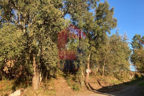 Helårsgrund i Vila Verde, Braga, Vila Verde - € 170.000 | Ref: 08530 - foto 25
