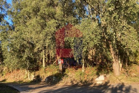 Helårsgrund i Vila Verde, Braga, Vila Verde - € 170.000 | Ref: 08530 - foto 26