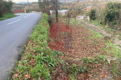 Helårsgrund i Vila Verde, Braga, Vila Verde - € 41.500 | Ref: 08570 - foto 18