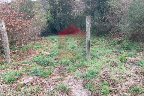 Helårsgrund i Vila Verde, Braga, Vila Verde - € 41.500 | Ref: 08570 - foto 19