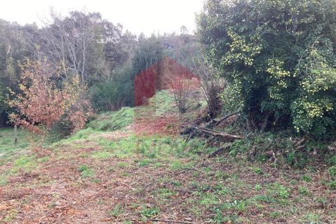 Helårsgrund i Vila Verde, Braga, Vila Verde - € 41.500 | Ref: 08570 - foto 20
