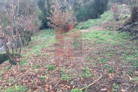 Helårsgrund i Vila Verde, Braga, Vila Verde - € 41.500 | Ref: 08570 - foto 21
