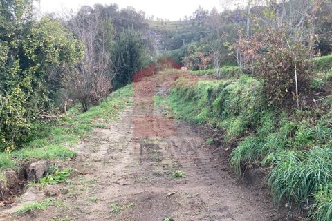 Helårsgrund i Vila Verde, Braga, Vila Verde - € 41.500 | Ref: 08570 - foto 25