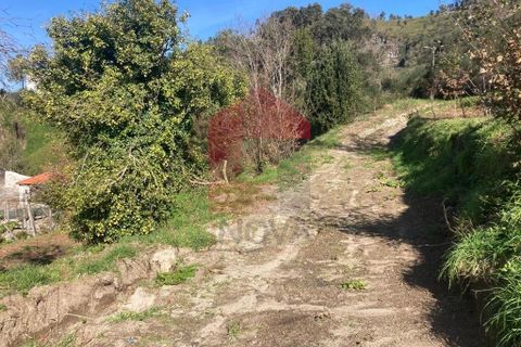 Helårsgrund i Vila Verde, Braga, Vila Verde - € 41.500 | Ref: 08570 - foto 33