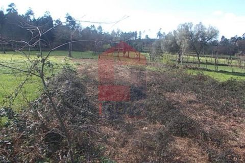 Helårsgrund i Vila Verde, Braga, Vila Verde - € 16.000 | Ref: 08329 - foto 2