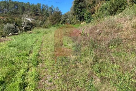 Helårsgrund i Vila Verde, Braga, Vila Verde - € 22.500 | Ref: 08433 - foto 2