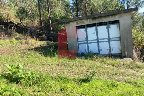 Helårsgrund i Vila Verde, Braga, Vila Verde - € 22.500 | Ref: 08433 - foto 5