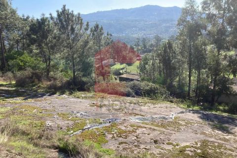 Helårsgrund i Vila Verde, Braga, Vila Verde - € 22.500 | Ref: 08433 - foto 9