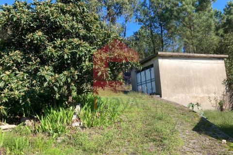 Helårsgrund i Vila Verde, Braga, Vila Verde - € 22.500 | Ref: 08433 - foto 16