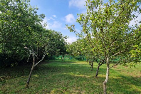 Terra a Champagne, Sarthe, Champagne - € 95.800 | Ref: 51_BMN-0022671 - foto 4