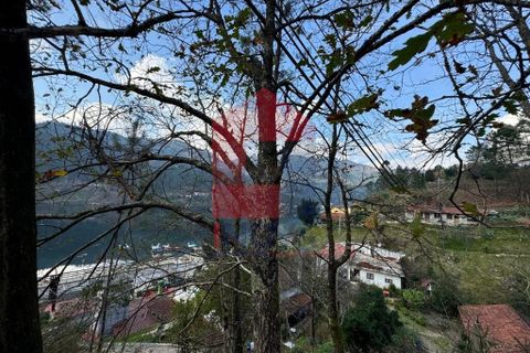 Tomt i Terras de Bouro, Braga, Terras de Bouro - € 225 000 | Ref: 08588 - foto 28