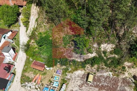 Tomt i Terras de Bouro, Braga, Terras de Bouro - € 225 000 | Ref: 08588 - foto 45