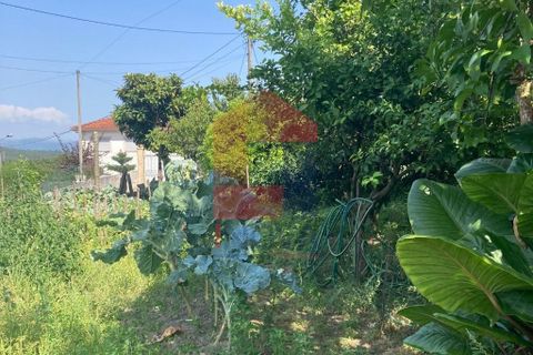 Byhus i Vila Verde, Braga, Vila Verde - € 30.000 | Ref: 08367 - foto 19