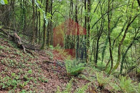 Helårsgrund i Vila Verde, Braga, Vila Verde - € 51.500 | Ref: 08315 - foto 3
