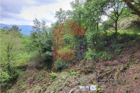 Helårsgrund i Vila Verde, Braga, Vila Verde - € 51.500 | Ref: 08315 - foto 4