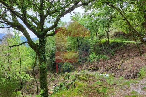 Helårsgrund i Vila Verde, Braga, Vila Verde - € 51.500 | Ref: 08315 - foto 5