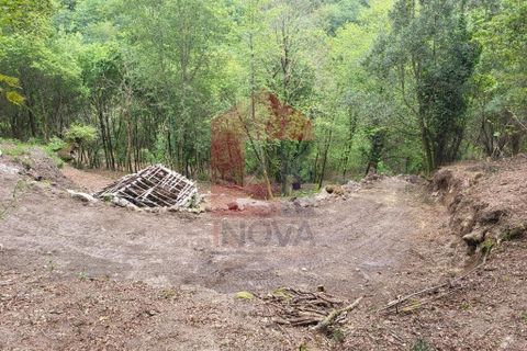 Helårsgrund i Vila Verde, Braga, Vila Verde - € 51.500 | Ref: 08315 - foto 7