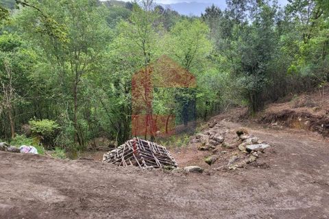 Helårsgrund i Vila Verde, Braga, Vila Verde - € 51.500 | Ref: 08315 - foto 8