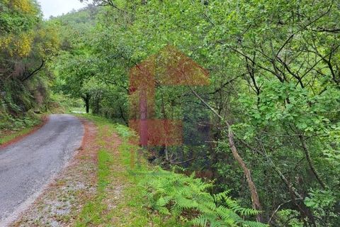 Helårsgrund i Vila Verde, Braga, Vila Verde - € 51.500 | Ref: 08315 - foto 12