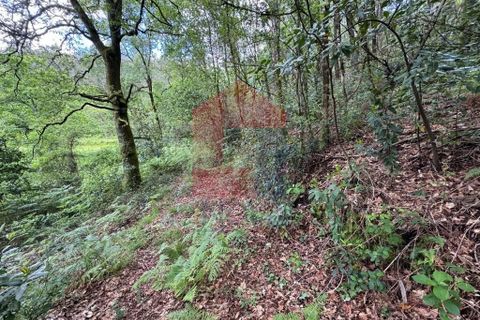 Terra a Vila Verde, Braga, Vila Verde - € 7.500 | Ref: 08326 - foto 2