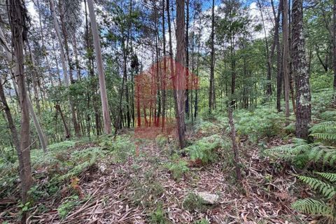 Terra a Vila Verde, Braga, Vila Verde - € 7.500 | Ref: 08326 - foto 7