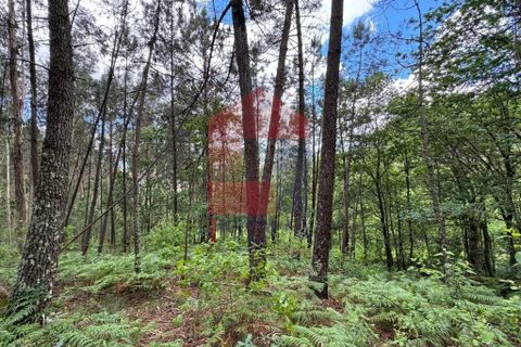 Terra a Vila Verde, Braga, Vila Verde - € 7.500 | Ref: 08326 - foto 8