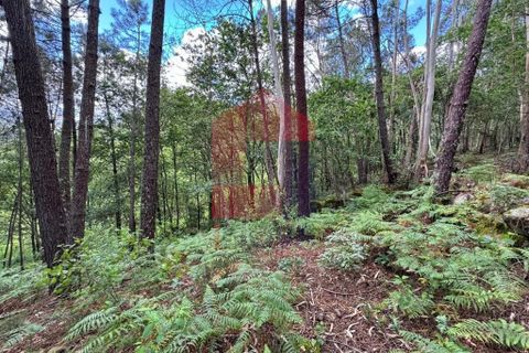 Terra a Vila Verde, Braga, Vila Verde - € 7.500 | Ref: 08326 - foto 9