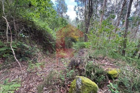 Terra a Vila Verde, Braga, Vila Verde - € 7.500 | Ref: 08326 - foto 11