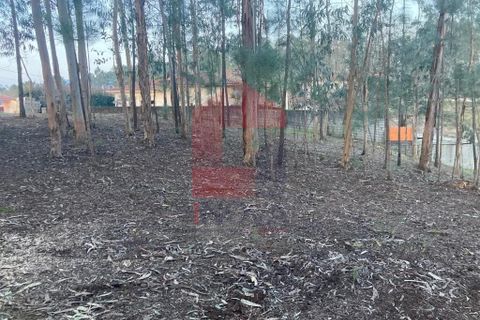 Helårsgrund i Vila Verde, Braga, Vila Verde - € 41.500 | Ref: 08576 - foto 2