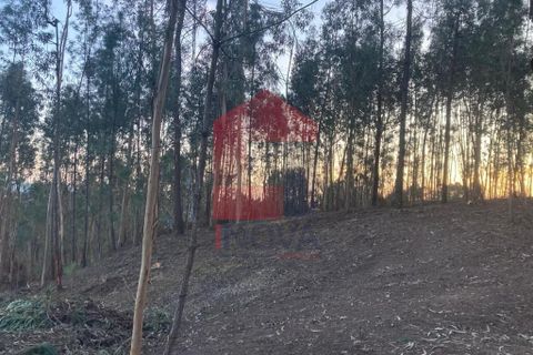 Helårsgrund i Vila Verde, Braga, Vila Verde - € 41.500 | Ref: 08576 - foto 11