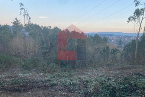 Helårsgrund i Vila Verde, Braga, Vila Verde - € 41.500 | Ref: 08576 - foto 12