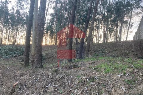 Helårsgrund i Vila Verde, Braga, Vila Verde - € 41.500 | Ref: 08576 - foto 13