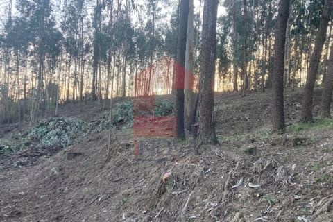 Helårsgrund i Vila Verde, Braga, Vila Verde - € 41.500 | Ref: 08576 - foto 14
