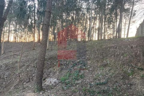 Helårsgrund i Vila Verde, Braga, Vila Verde - € 41.500 | Ref: 08576 - foto 15