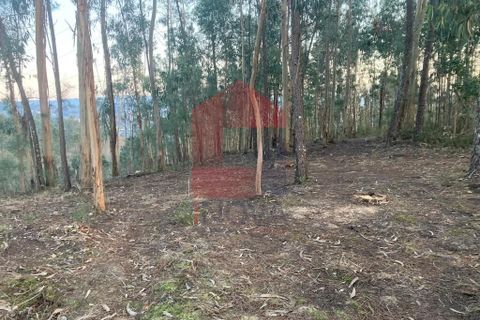 Helårsgrund i Vila Verde, Braga, Vila Verde - € 41.500 | Ref: 08576 - foto 21