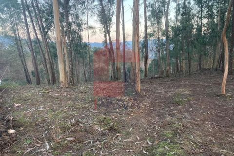 Helårsgrund i Vila Verde, Braga, Vila Verde - € 41.500 | Ref: 08576 - foto 22