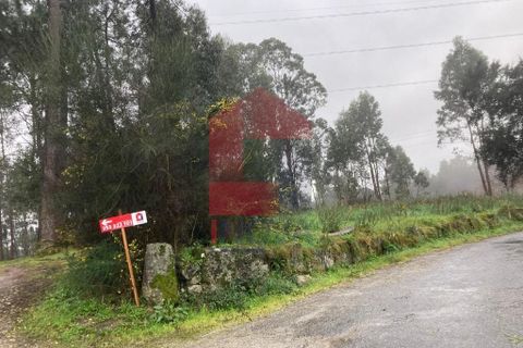 Helårsgrund i Vila Verde, Braga, Vila Verde - € 41.500 | Ref: 08576 - foto 25