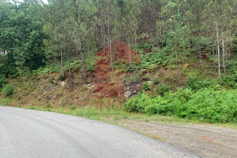 Helårsgrund i Amares, Braga, Amares - € 40.000 | Ref: 07309 - foto 1
