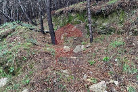 Helårsgrund i Amares, Braga, Amares - € 40.000 | Ref: 07309 - foto 2