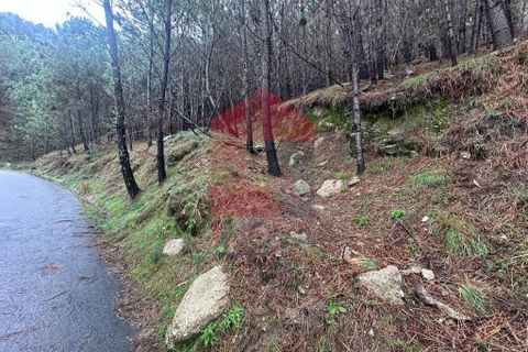 Helårsgrund i Amares, Braga, Amares - € 40.000 | Ref: 07309 - foto 3