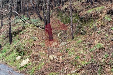 Helårsgrund i Amares, Braga, Amares - € 40.000 | Ref: 07309 - foto 4