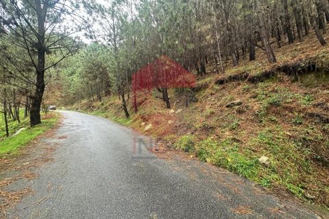 Helårsgrund i Amares, Braga, Amares - € 40.000 | Ref: 07309 - foto 9