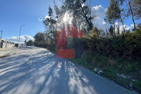 Helårsgrund i Vila Verde, Braga, Vila Verde - € 66.500 | Ref: 08585 - foto 11