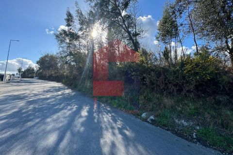 Helårsgrund i Vila Verde, Braga, Vila Verde - € 66.500 | Ref: 08585 - foto 12